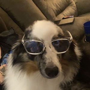 Meet your Posher, Lillian